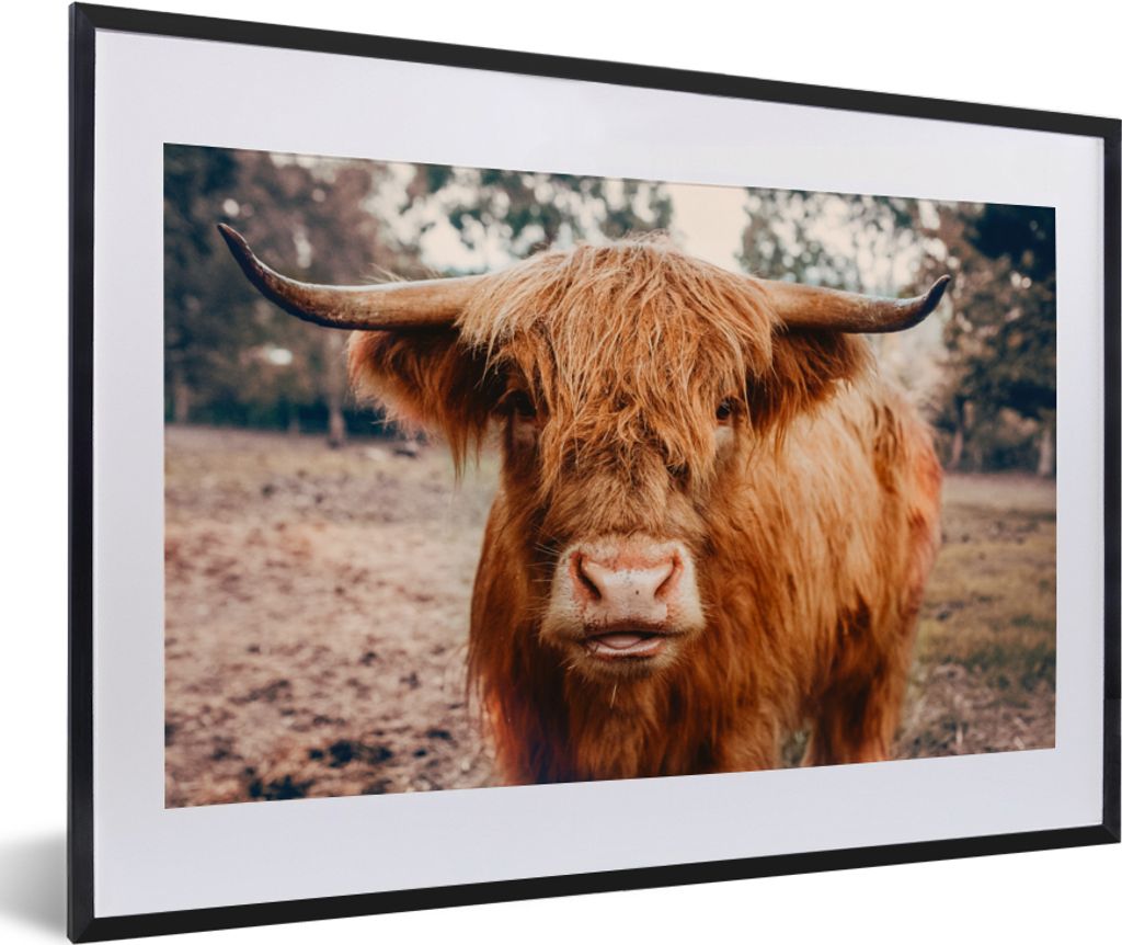 MuchoWow Gerahmtes Poster Kuh - Schottischer Hochländer - Hörner - Braun - Landschaft 60x40 cm - Poster mit Schwarzem Bilderrahmen Wandposter R...