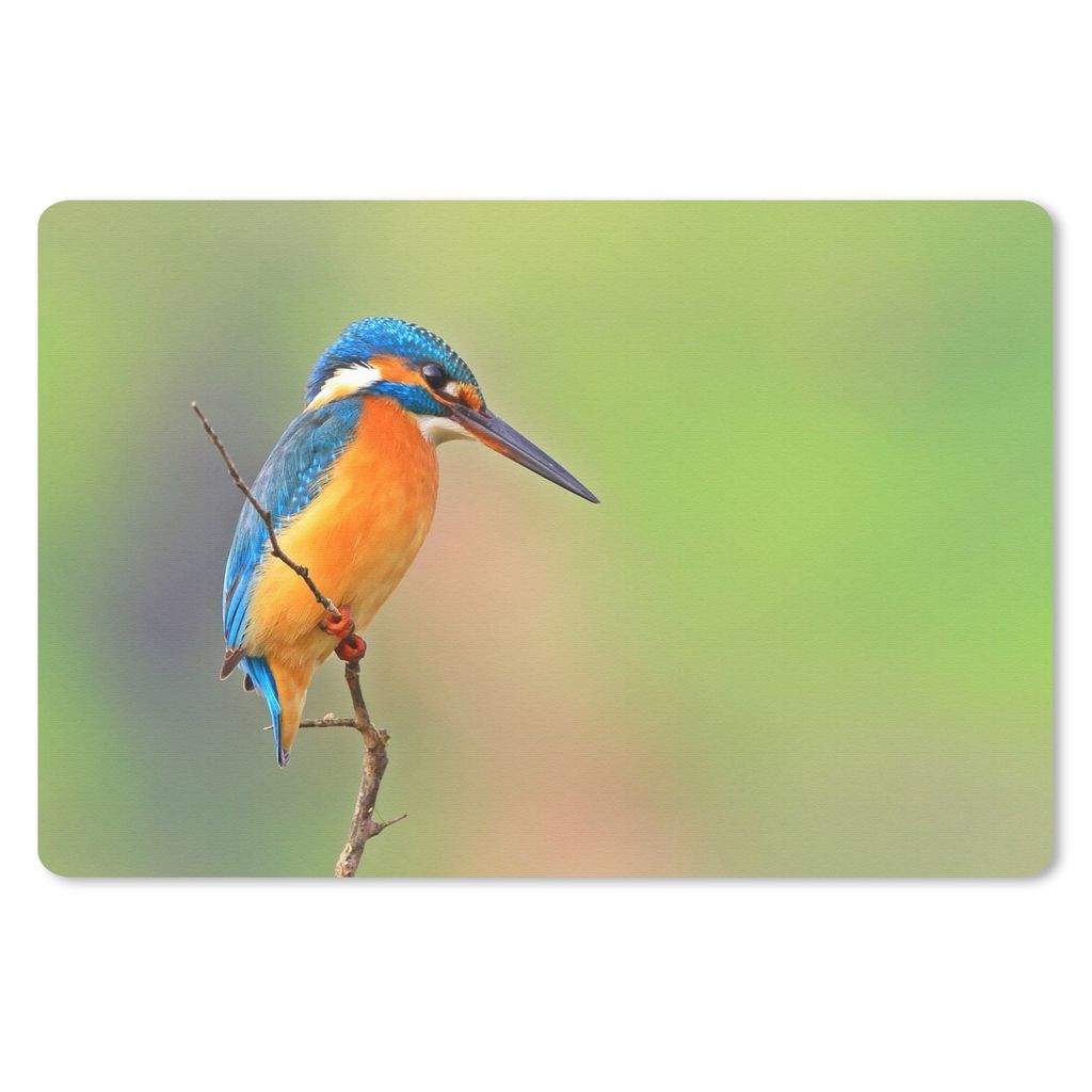 MuchoWow Schreibtischunterlage Eisvogel - Tiere - Beute 60x40 cm - XXL Mauspad - Großes Mauspad