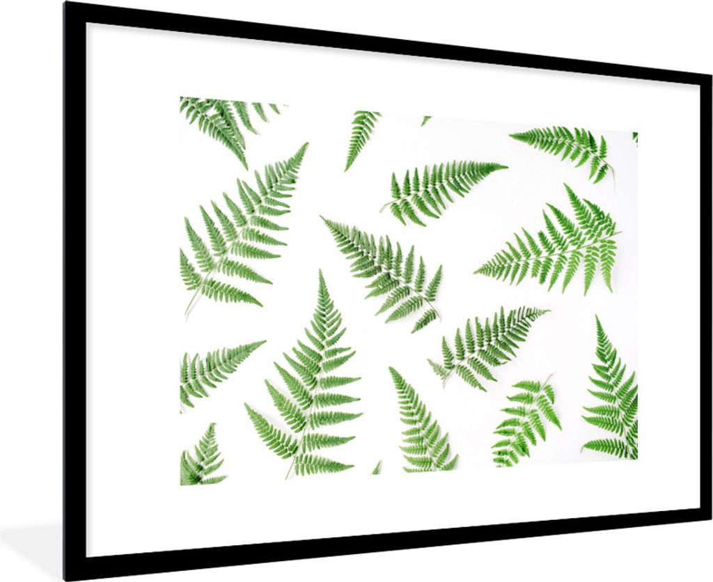 MuchoWow® Gerahmtes Poster Tropisch - Farn - Grün 90x60 cm Produktbild 