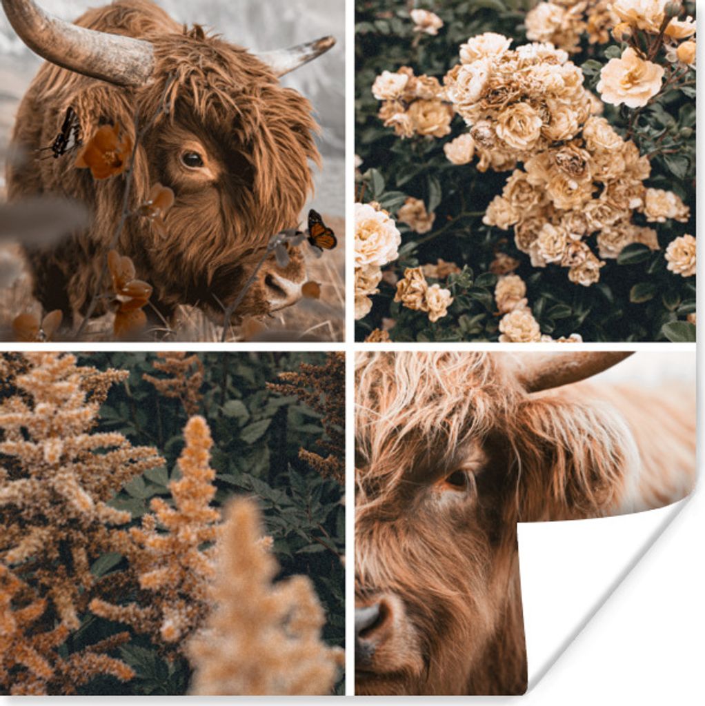 MuchoWow Poster Schottischer Highlander - Collage - Herbst 100x100 cm - Babyzimmer