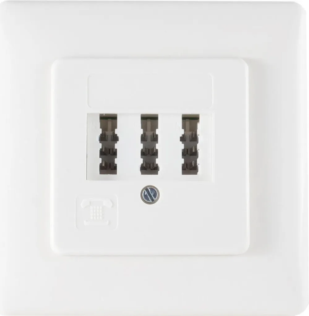 Prise TAE NFN S/CONN 74041-W blanc RAL9010 avec cadre métal ultra robuste