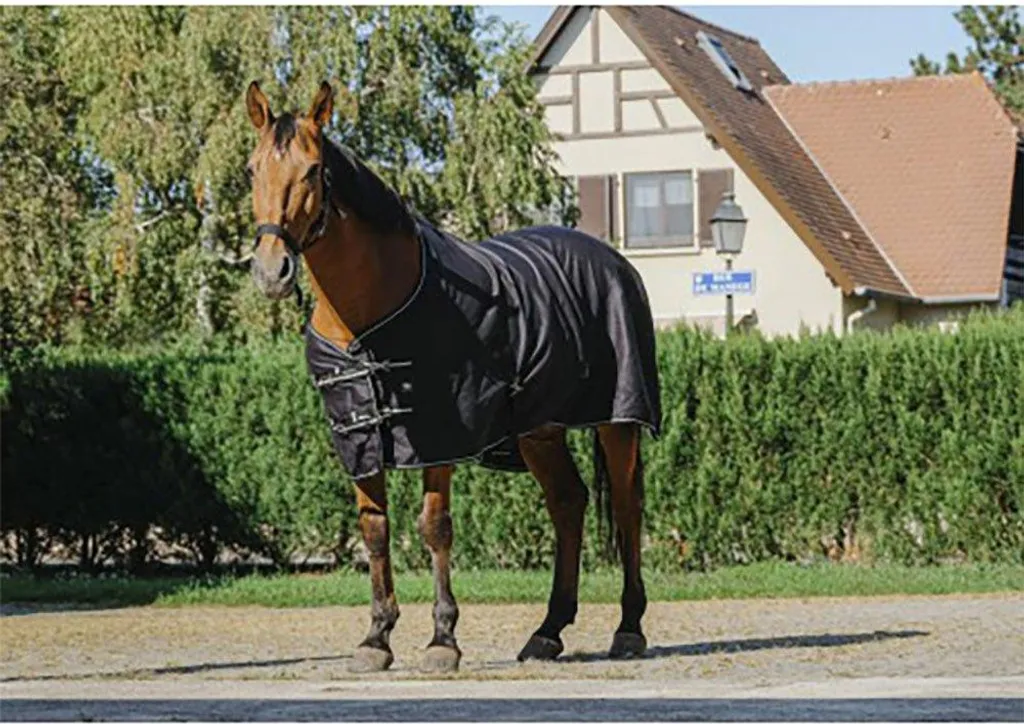 Riding World Coperta Estiva Lucida 198 cm | Tradizione e Protezione