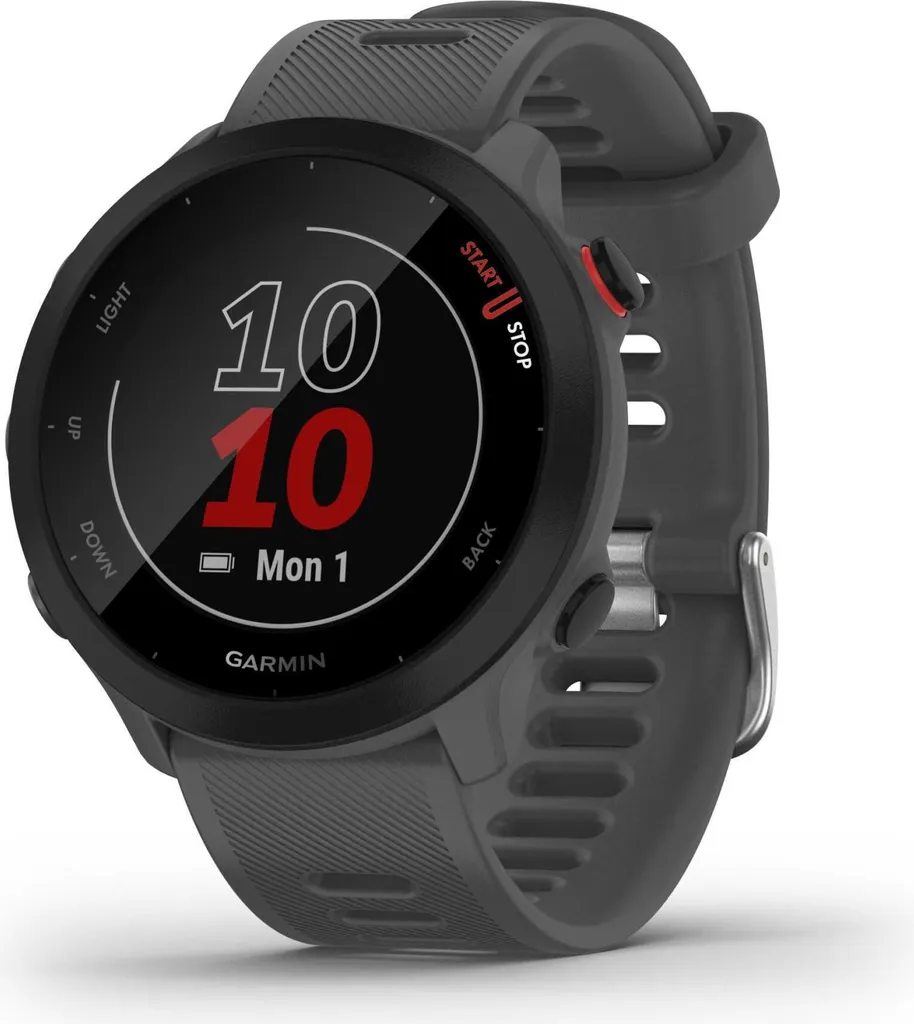 Montre Garmin Forerunner 55 Gris - GPS Course à Pied et Cardio Poignet