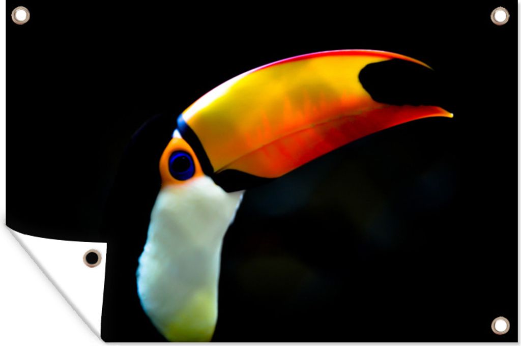 MuchoWow 120x80 cm Outdoor-Poster Gartendeko Sichtschutz Garten Poster für den Garten Verträumter Tukan