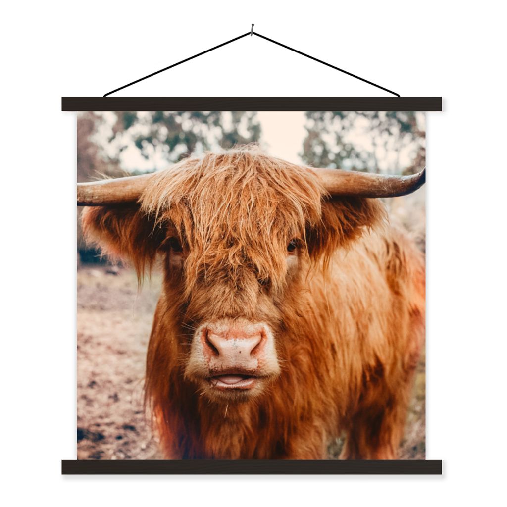 MuchoWow Textilposter Kuh - Schottischer Hochländer - Hörner - Braun - Landschaft 40x40 cm mit schwarzem Rahmen - Fotos