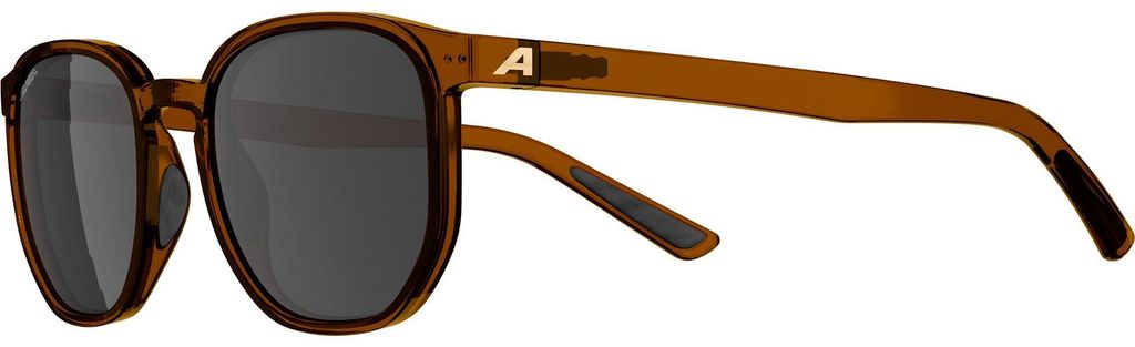 Sonnenbrille Alpina Dimont Brown-Transparent Matt/Brown