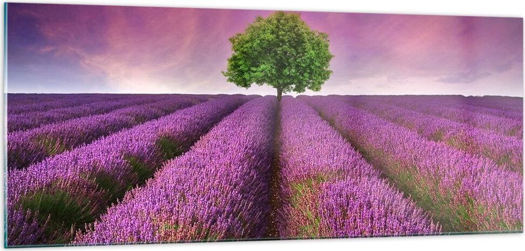Bilder auf glas - Wiese lavenda Sommer Landschaft - 100x40cm - Glasbilder - Wandbilder - Kunstdruck - zum Aufhängen bereit - Wanddekoration aus Gl...