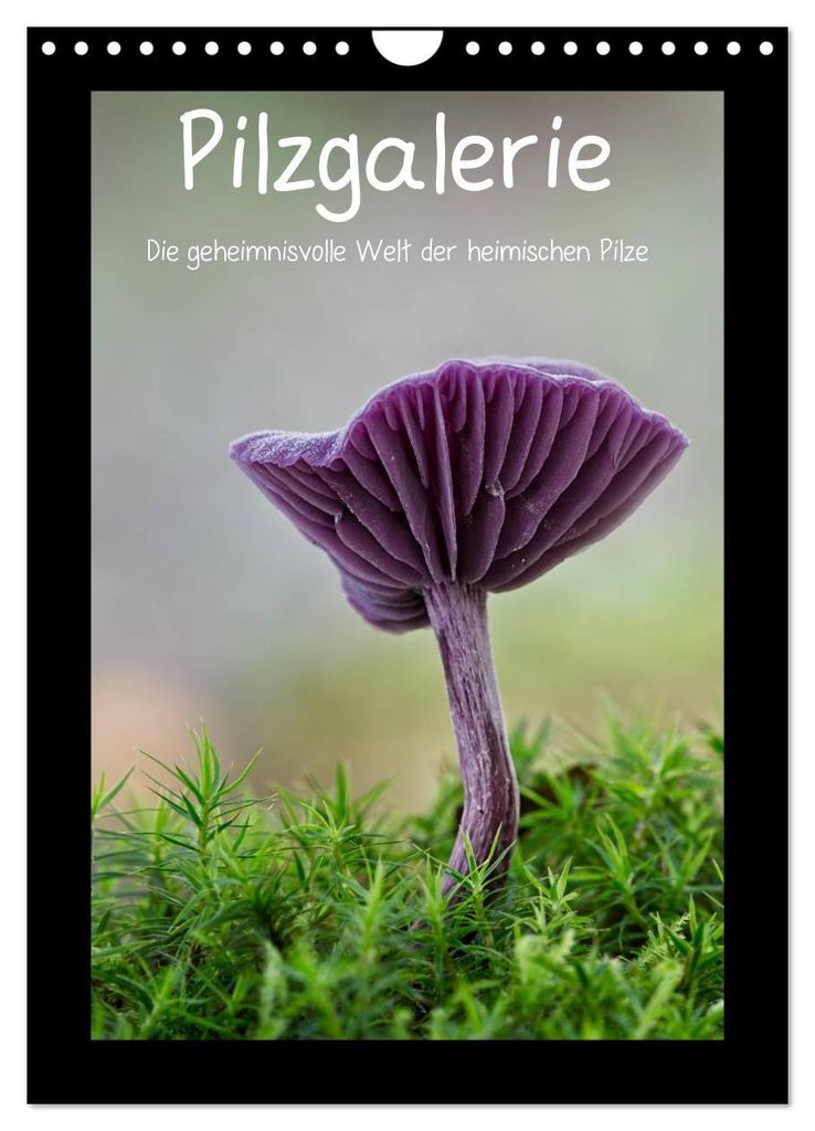 Pilzgalerie - Die geheimnisvolle Welt der heimischen Pilze (Wandkalender 2027 DIN A4 hoch), CALVENDO Monatskalender