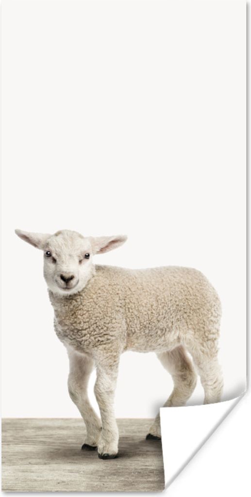 MuchoWow Poster Lamm - Schaf - Tiere - Kinder - Mädchen - Jungen 60x120 cm - Wandschmuck