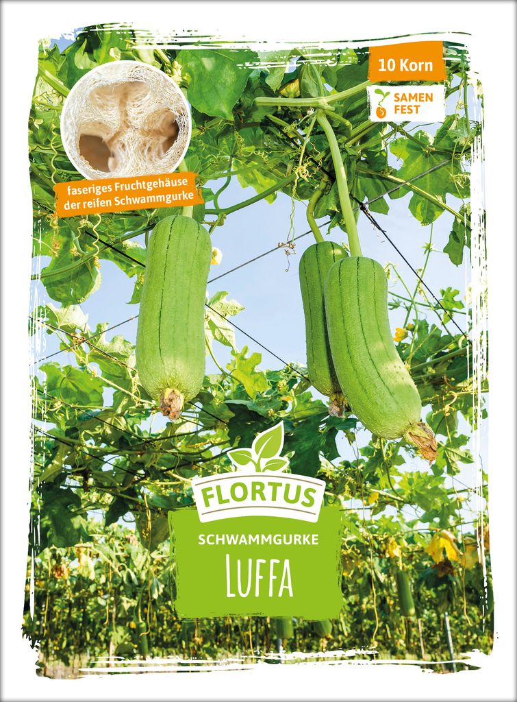 Schwammgurke Luffa | Schwammgurkensamen von FLORTUS