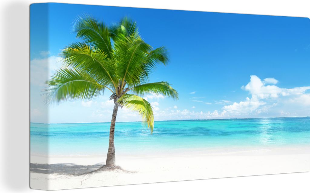 OneMillionCanvasses - Leinwandbilder - Bild auf Leinwand Wandbild Leinwandbild Palme - Strand - Meer - Sommer, 40x20 cm, Kunstdruck Wandkunst Gem...
