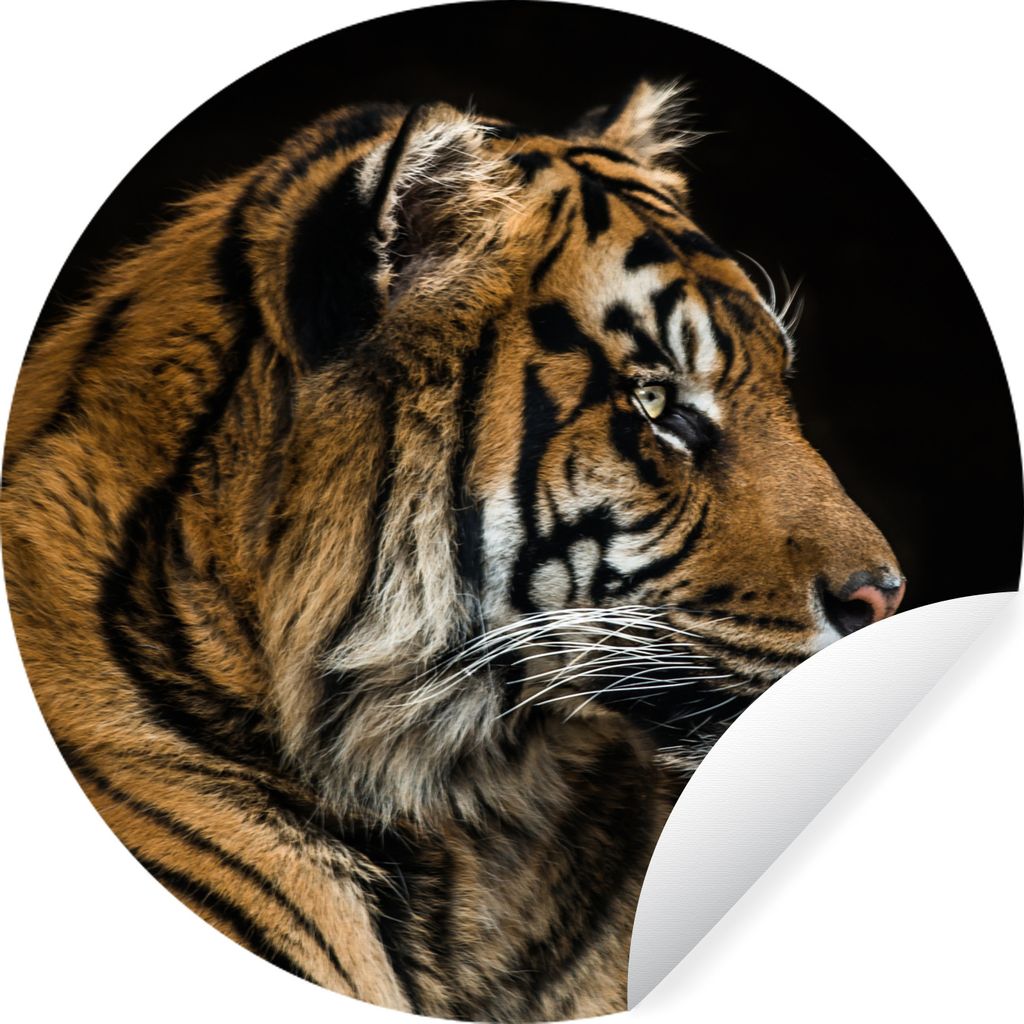 MuchoWow Runde Wandtattoo - Wandsticker Tapete Aufkleber Tiger - Tierkopf - Schwarz Ø 30 cm Selbstklebend und Repositionierbar - Wandaufkleber -...