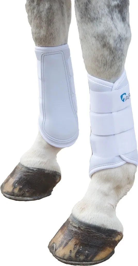 Stinchiere Pony ARMA Neoprene ER200 Bianco - Shires Equestrian 170A