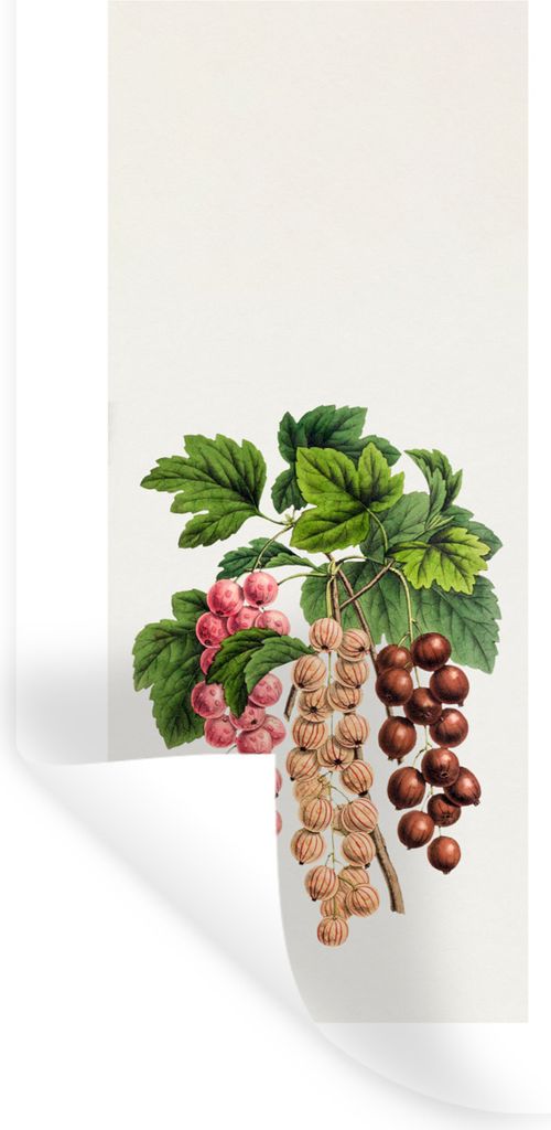 MuchoWow Wandtattoo Wandsticker Wandaufkleber Beeren - Lebensmittel - Obst 60x120 cm Selbstklebend und Repositionierbar - Selbstklebend - Fototap...