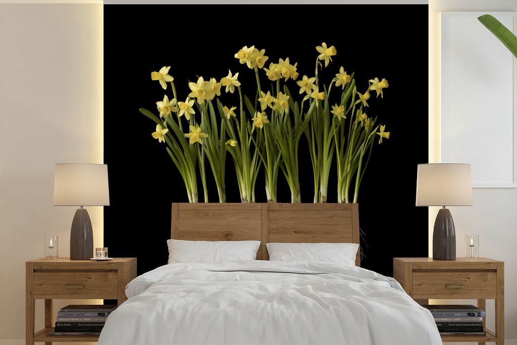 MuchoWow Fototapete für Wohnzimmer oder Schlafzimmer Wandtapete Vinyl Motivtapete Mehrere Narzissen mit Zwiebeln auf schwarzem Hintergrund - 300...