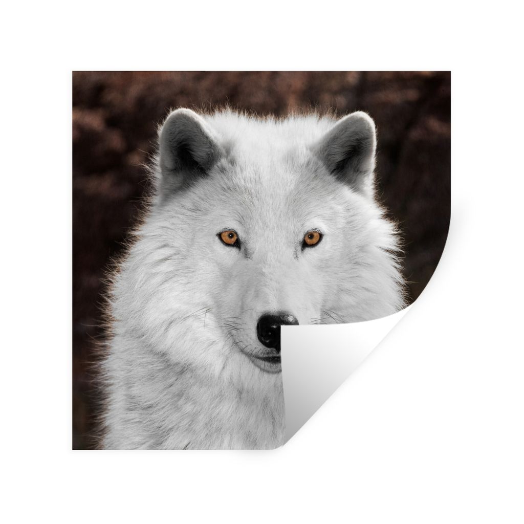 MuchoWow Wandtattoo Wandsticker Wandaufkleber Wolf - Weiß - Porträt 30x30 cm Selbstklebend und Repositionierbar - Repositionierbar - Wasser abw...