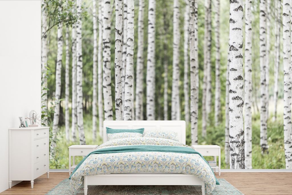 MuchoWow Fototapete für Wohnzimmer oder Schlafzimmer Wandtapete Vinyl Motivtapete Ein ausgewachsener Birkenwald mit Baumstämmen - 420x280 cm - ...