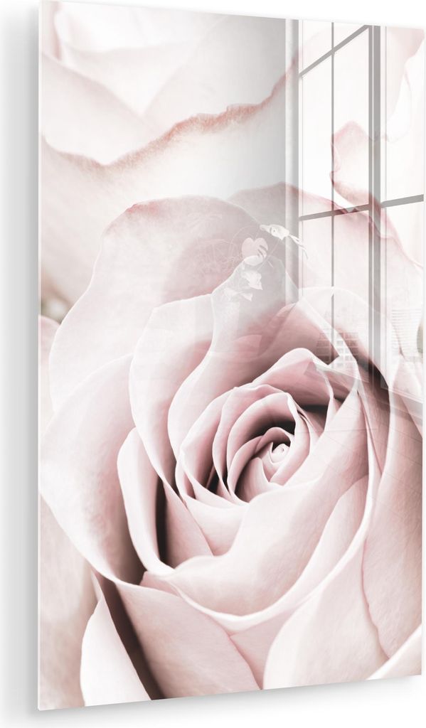 MuchoWow Glasbilder - Bilder auf Wandbild - Foto auf Glas Blumen - Rose - Rosa - Botanisch 60x90 cm Wanddekoration aus Glas - Acrylglasbild - Acryl...