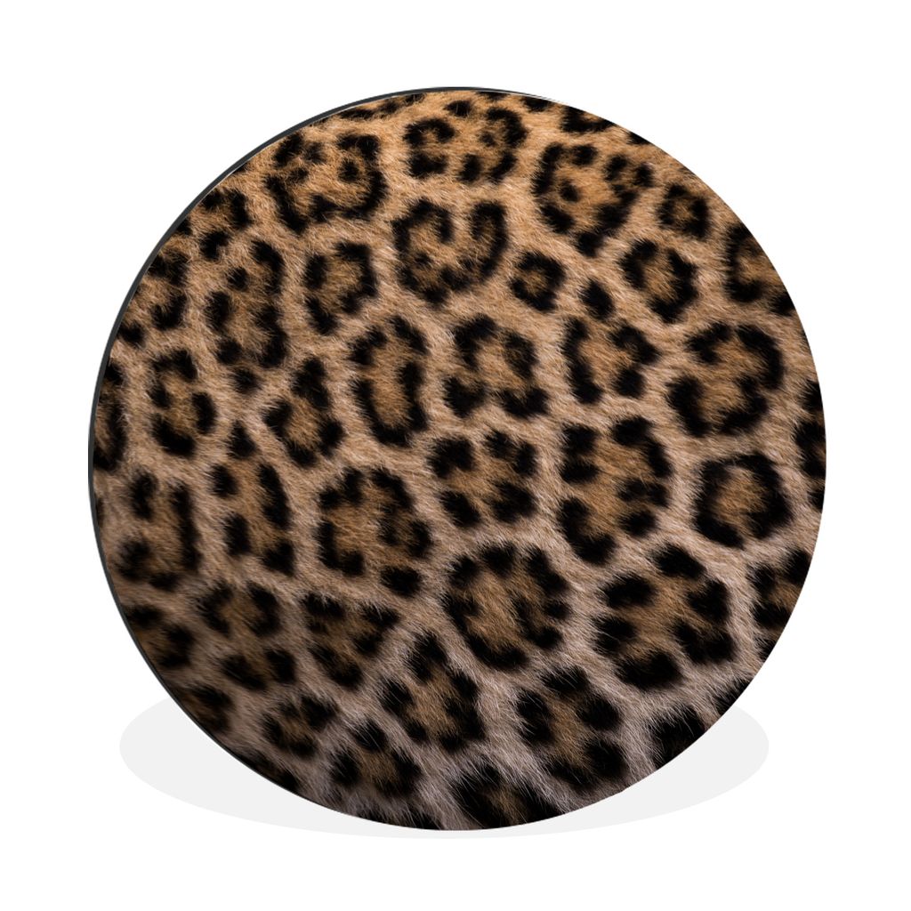 MuchoWow Aluminium Wandkreis Panther Druck Ø 60 cm Wanddeko Modern Wohnzimmer - Wand Kreis - Wandbild - Schlafzimmer - Aluminium Bild - Kinderzi...