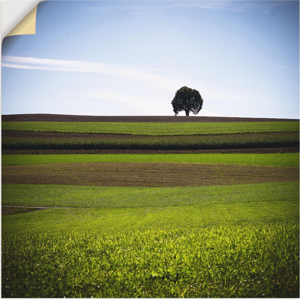 ARTland Wandbild, selbstklebend Der Baum Größe: 40x40 cm