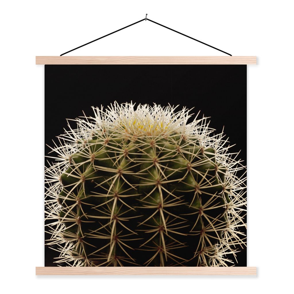 MuchoWow Textilposter Eine Nahaufnahme eines dornigen Kaktus auf schwarzem Hintergrund 120x120 cm mit holzfarbenen Rahmen - Textil-Poster