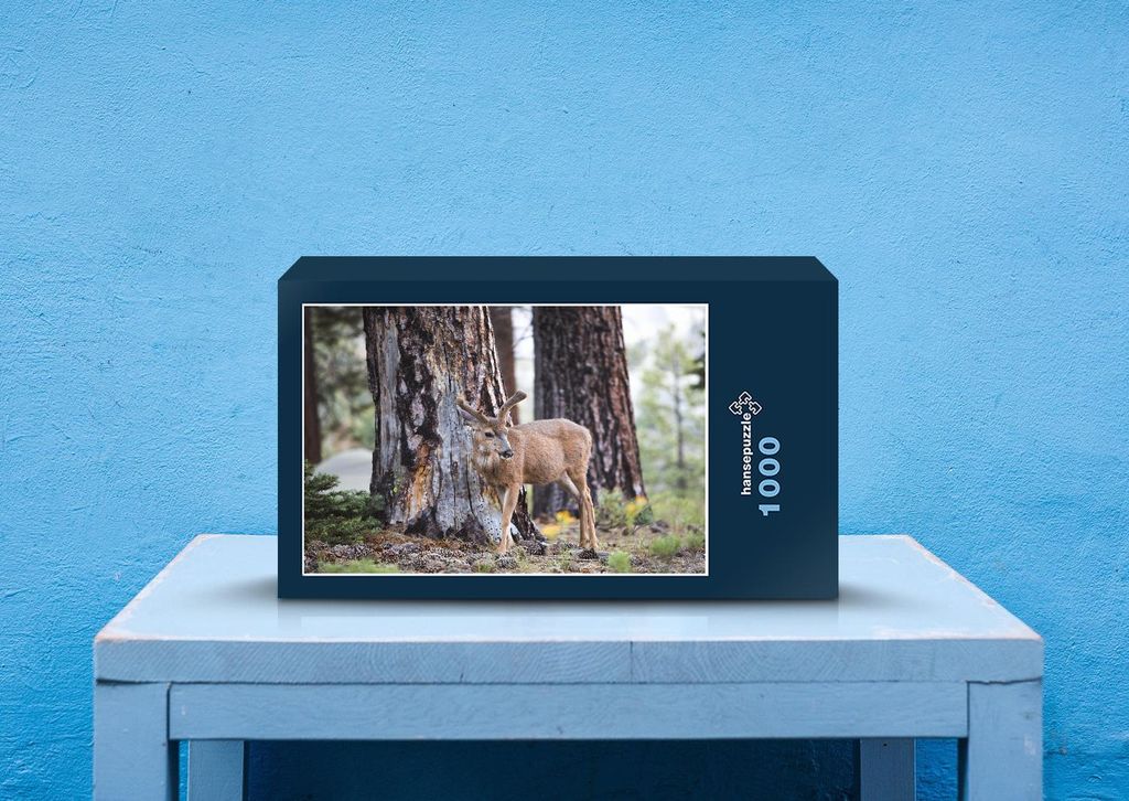 hansepuzzle 27011 - Rehe im Wald Puzzle, 1000 Teile, Tierwelt, 60,0 x 46,0cm mit hochwertiger Aufbewahrung, Kartonbox & Beutel