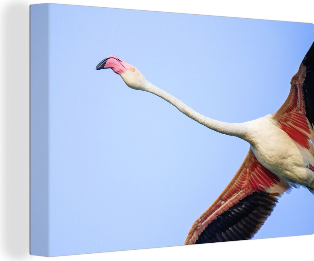 OneMillionCanvasses - Leinwandbilder - 140x90 cm, Ansicht eines fliegenden Flamingos von unten, Wandbilder Kunstdruck Wanddekoration - Foto auf L...
