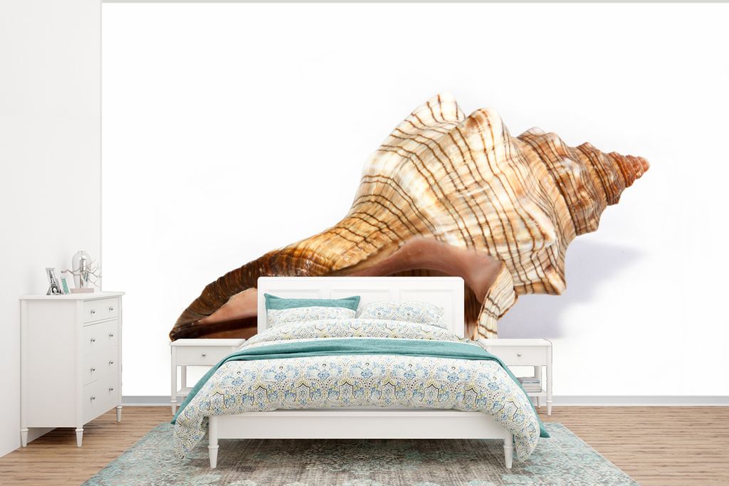 MuchoWow Fototapete für Wohnzimmer oder Schlafzimmer Wandtapete Vinyl Motivtapete Muschel - Weiß - Meer - 295x220 cm - Wand Tapete