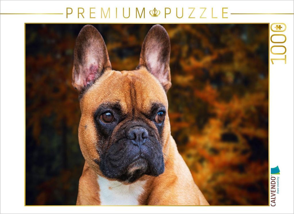 CALVENDO Puzzle Nachdenklich | 1000 Teile Lege-Größe 64x48cm Foto-Puzzle für glückliche Stunden