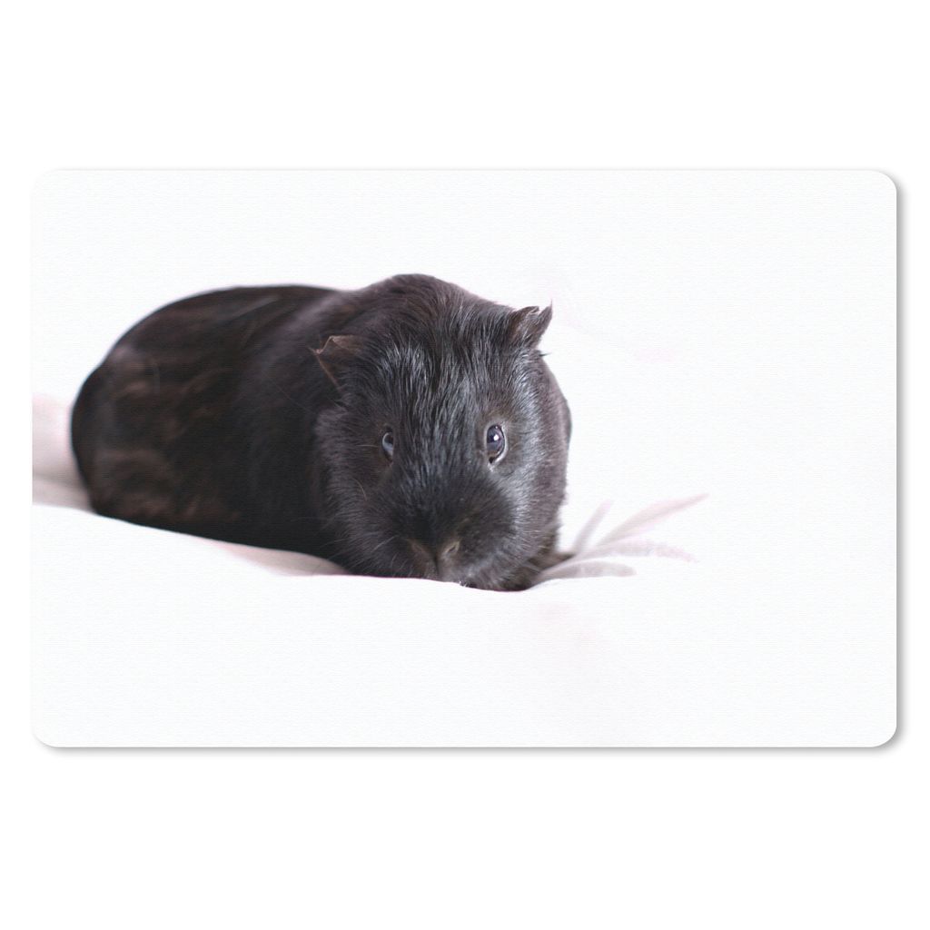 MuchoWow Schreibtischunterlage Schwarzes Meerschweinchen 60x40 cm - XXL Mauspad - Großes Mauspad