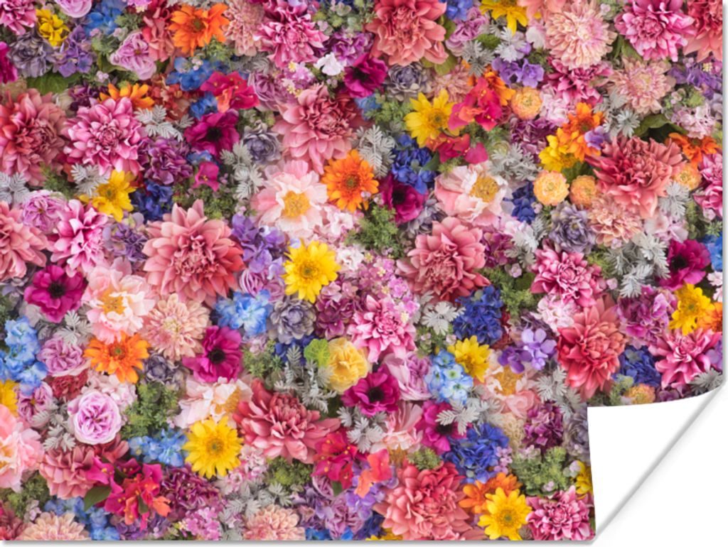 MuchoWow Poster Blumen - Farben - Collage 160x120 cm - Foto Plakat