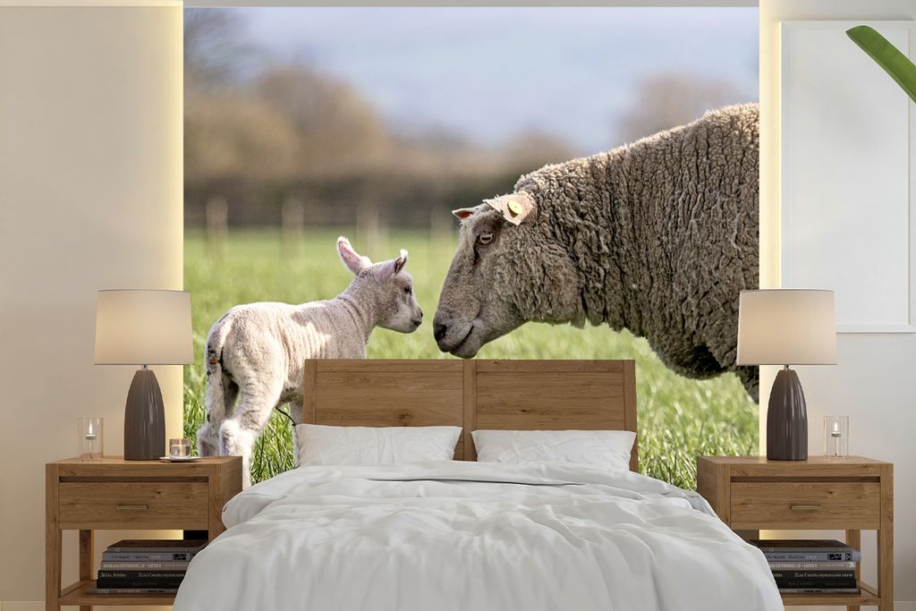 MuchoWow Fototapete für Wohnzimmer oder Schlafzimmer Wandtapete Vinyl Motivtapete Schafe - Gras - Frühling - 280x280 cm - Hintergrundbild