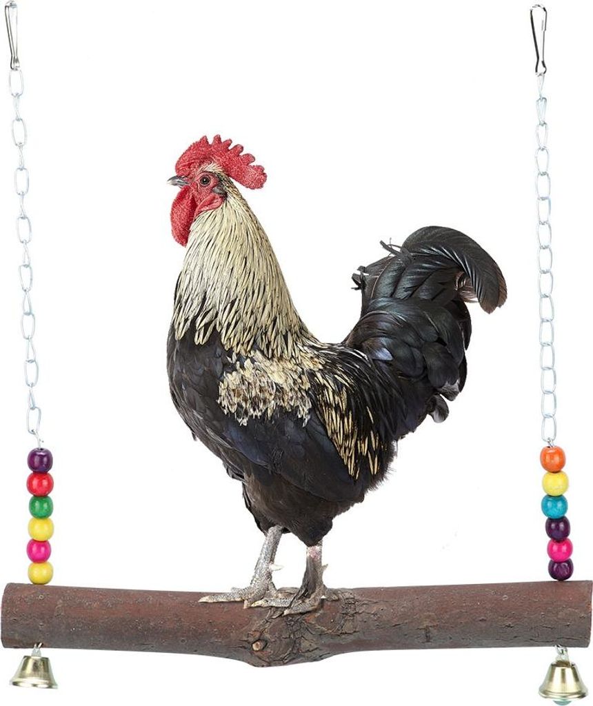 Naturholz handgefertigtes Haustier Chicken Cage Hanging Swing Toy für Hühner Schwanz Maas Kauen Training Spielzeug SupplieSchicken