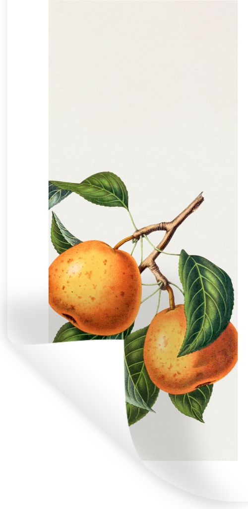 MuchoWow Wandtattoo Wandsticker Wandaufkleber Früchte - Orange - Blätter 20x40 cm Selbstklebend und Repositionierbar - Selbstklebend - Fototapeten
