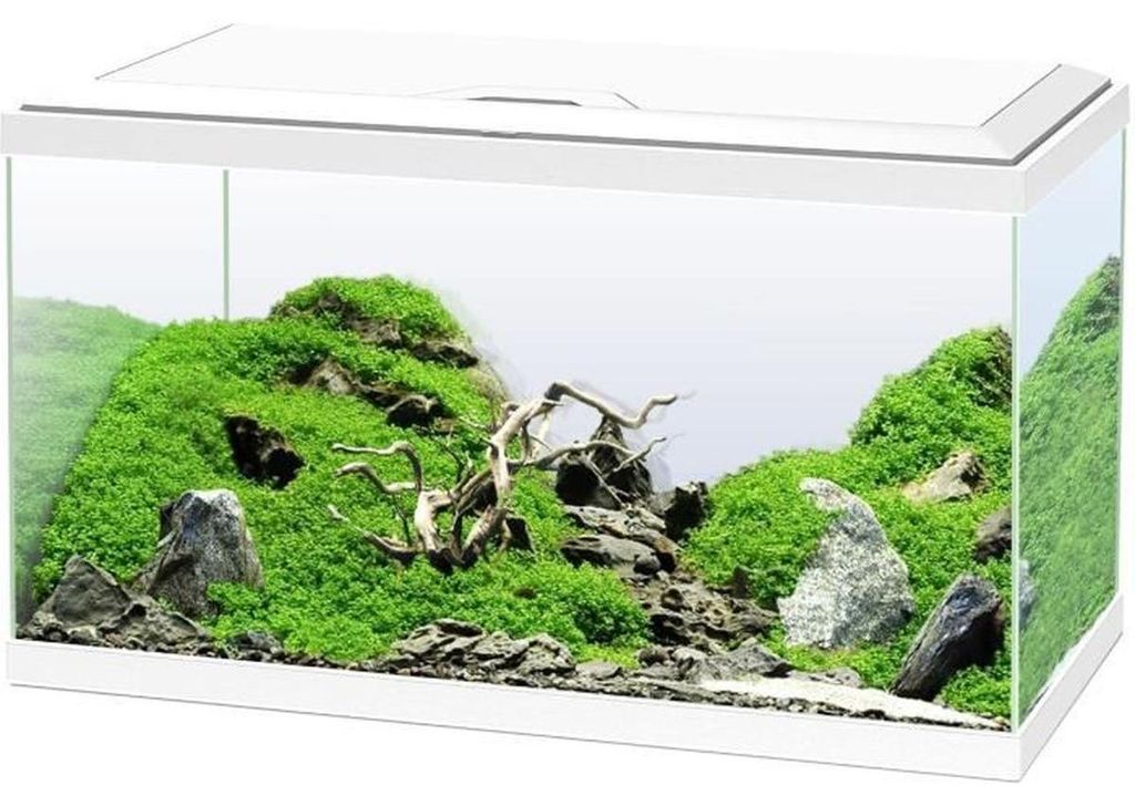 Aquarium Set Ciano inkl. Abdeckung LED Beleuchtung Produktbild 