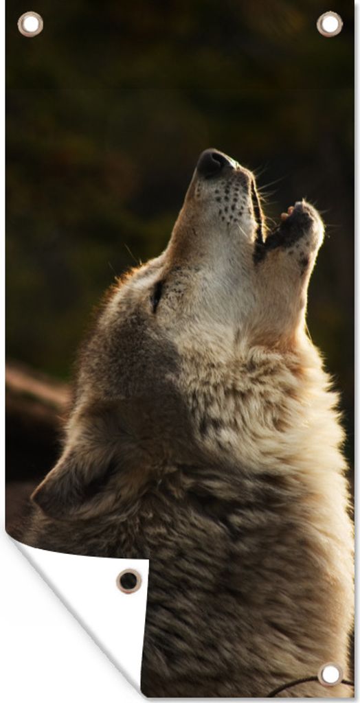 MuchoWow 80x160 cm Outdoor-Poster Gartendeko Sichtschutz Garten Poster für den Garten Wolf - Grau - Tiere