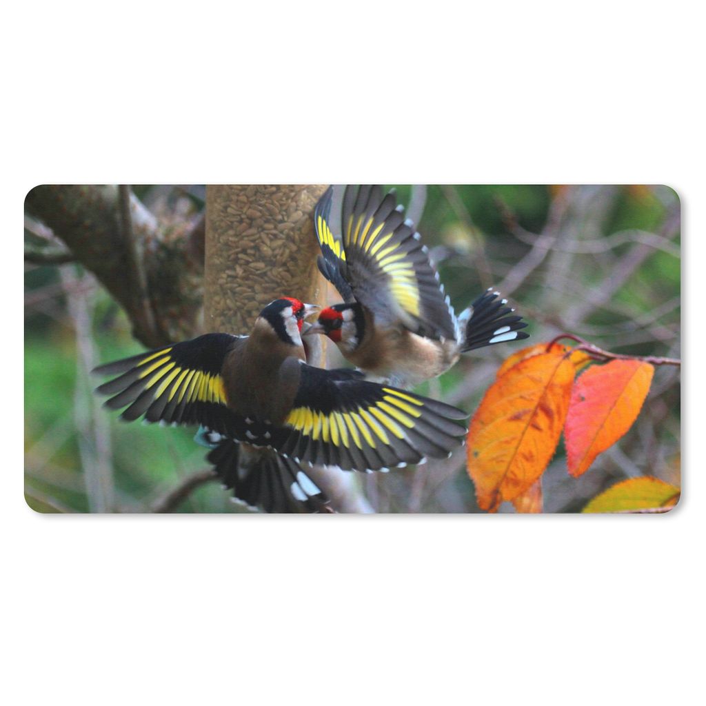 MuchoWow Mauspad Mousepad Zwei Stieglitze fliegen dicht an den Zweigen entlang 60x30 cm - Mousepads - Maus Mat - Pad - Mausunterlage - Nachhaltig