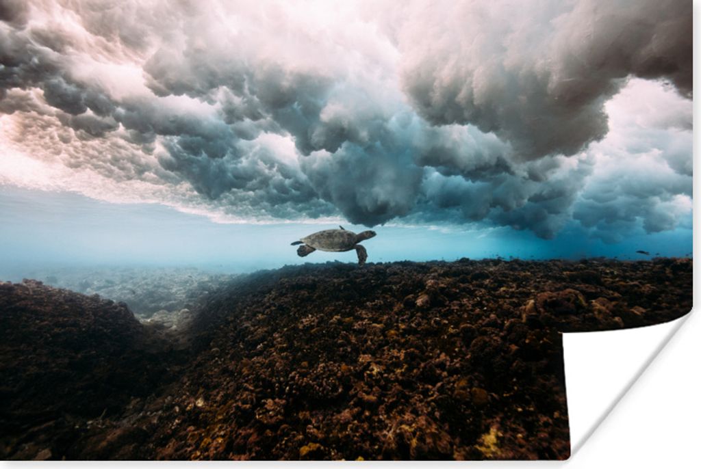 MuchoWow Poster Unterwasserfoto einer Meeresschildkröte im Indischen Ozean 180x120 cm - Fotoplakat