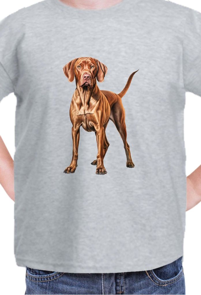 Kinder T-Shirt Dogs Breeds Vizsla Dog Breed 006, 12-13 Jahr - 152 / Grau