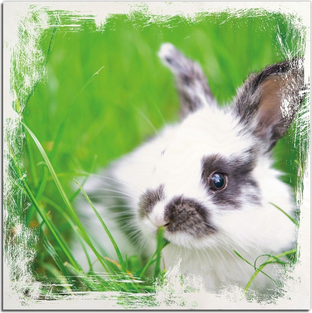 Kunstdrucke Wandbilder Holz in : Brillante Farben, Größe 50 x 50 cm Motiv Süßer Hase im grünen Gras