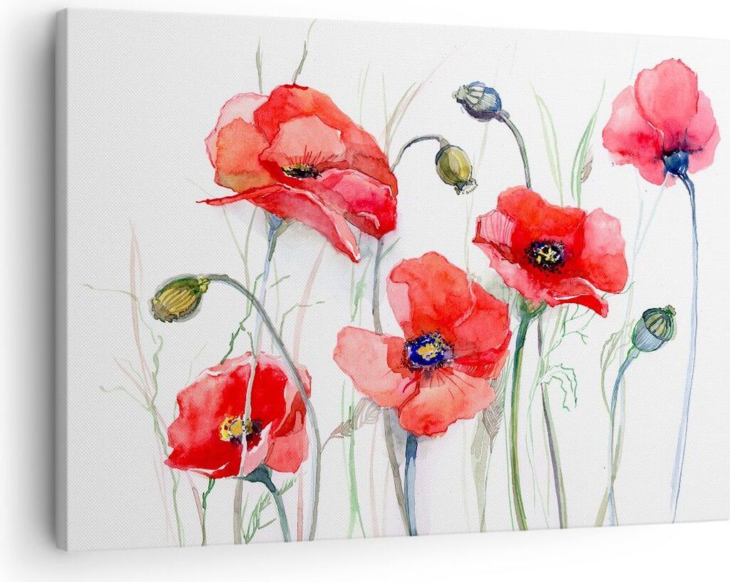 Bild auf Leinwand - Leinwandbild - Blume Mohn Wiese - 70x50cm - Wand Bild - Wanddeko - Wandbilder - Leinwanddruck - Bilder - Kunstdruck - Wanddekor...
