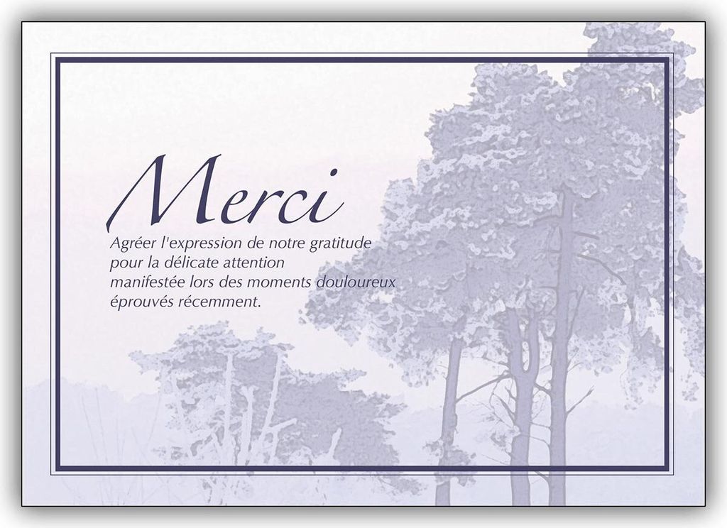 Schöne französische Trauer Dankeskarte: Merci Agréer l’expression de notre gratitude...