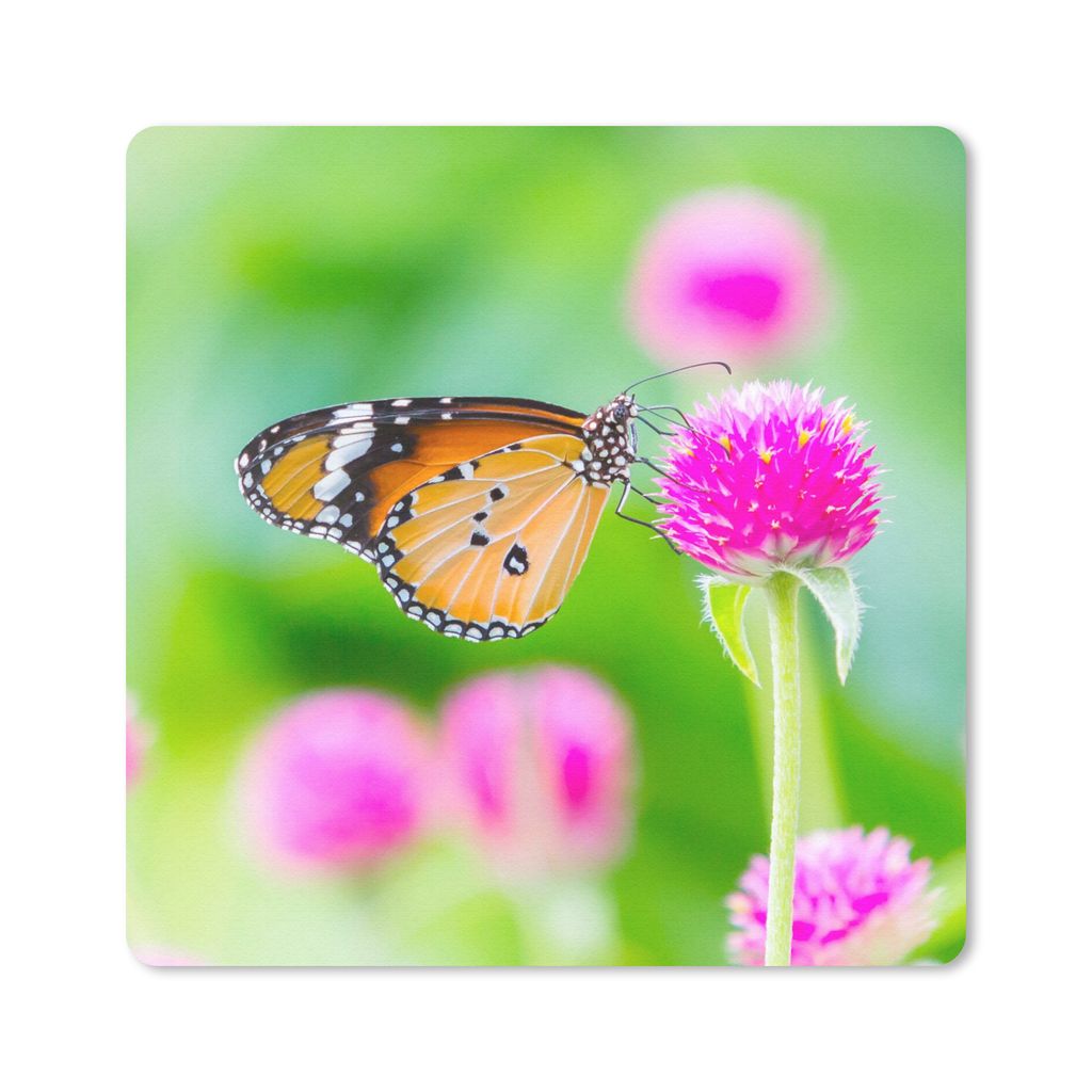 MuchoWow Mauspad Mousepad Landleben - Schmetterling - Distel - Blume 20x20 cm - Mousepads - Maus Mat - Pad - Mausunterlage - Desk Mat - Bureauart...