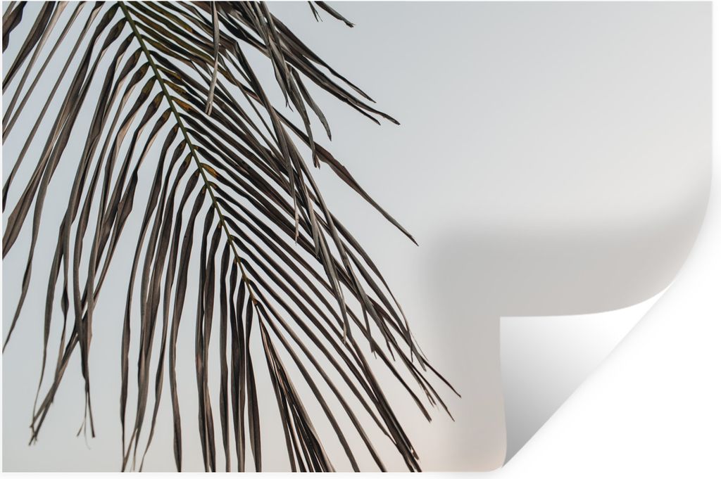 MuchoWow Wandtattoo Wandsticker Wandaufkleber Sommer - Palme - Blatt 120x80 cm Selbstklebend und Repositionierbar - Selbstklebend - Fototapeten