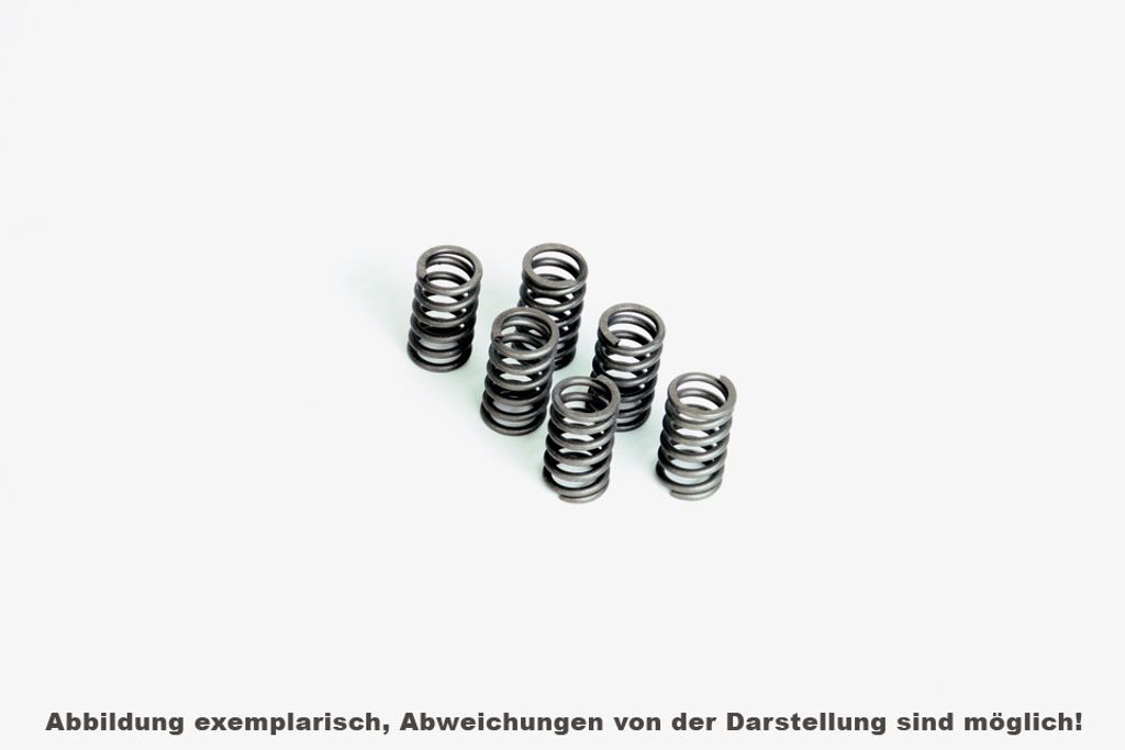 FERODO Kupplungsfedernsatz FSS0521