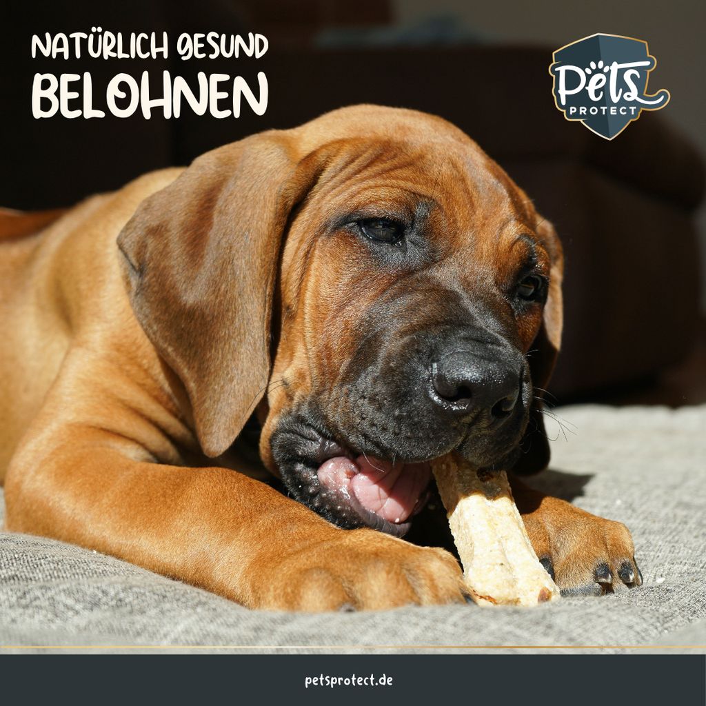 hund trockenfutter menge Getreidefreies Trockenfutter Hund – Premium Hundefutter Hirsch – Pet Cuisine main image 1