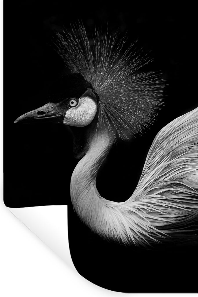 MuchoWow Wandtattoo Wandsticker Wandaufkleber Kranich - Schwarz - Weiß - Vogel - Tiere 40x60 cm Selbstklebend und Repositionierbar - Wierderverw...