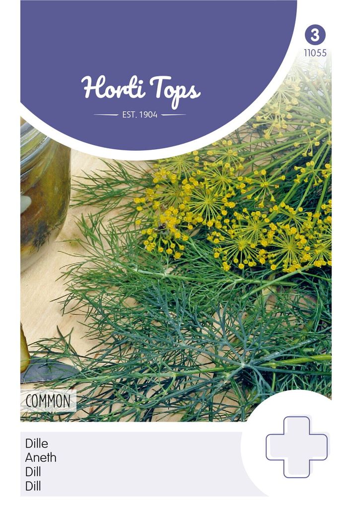 Dill | Dillsamen von Hortitops