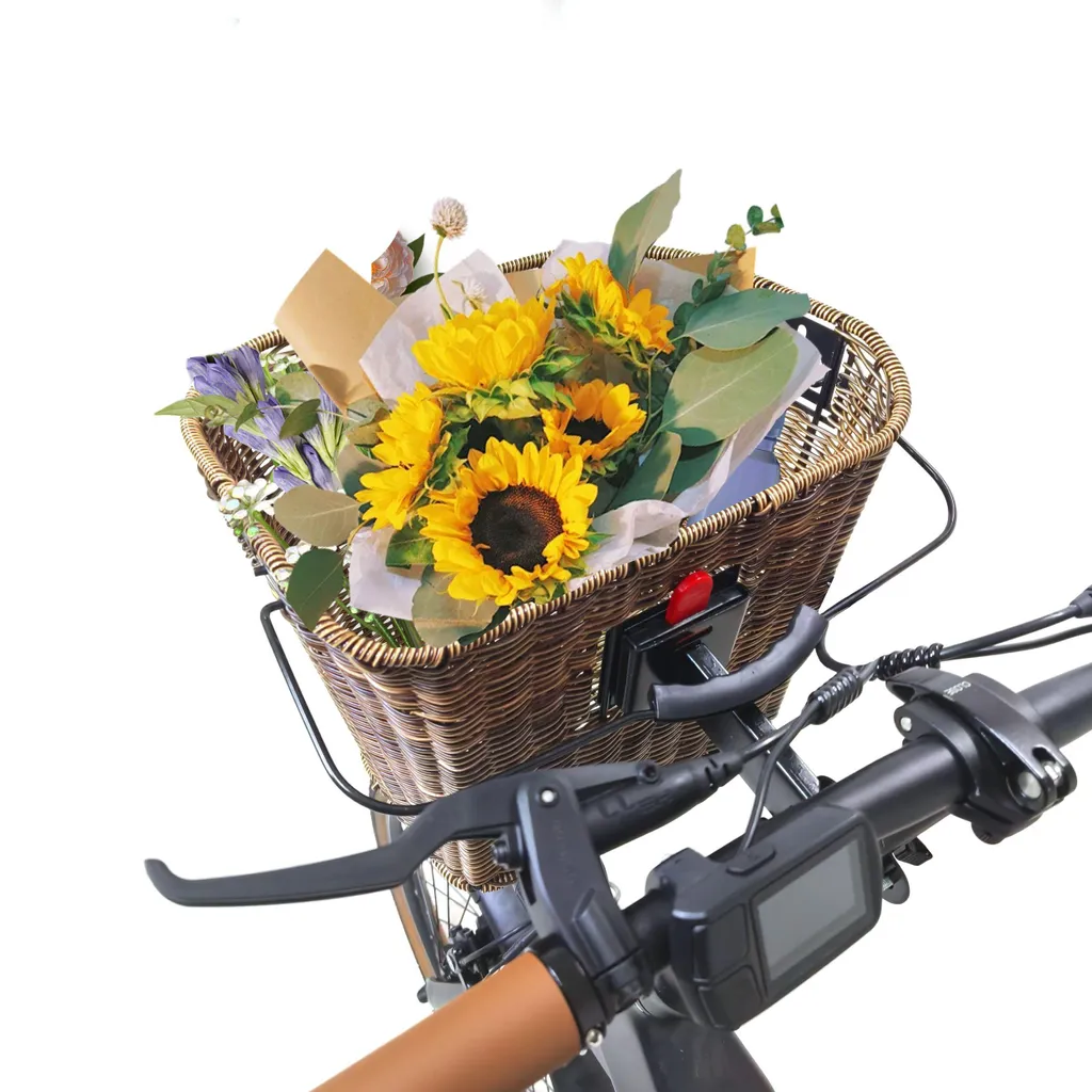 Panier Vélo Imperméable SachsenRAD 22L avec Fixation Rapide Innovante - 2