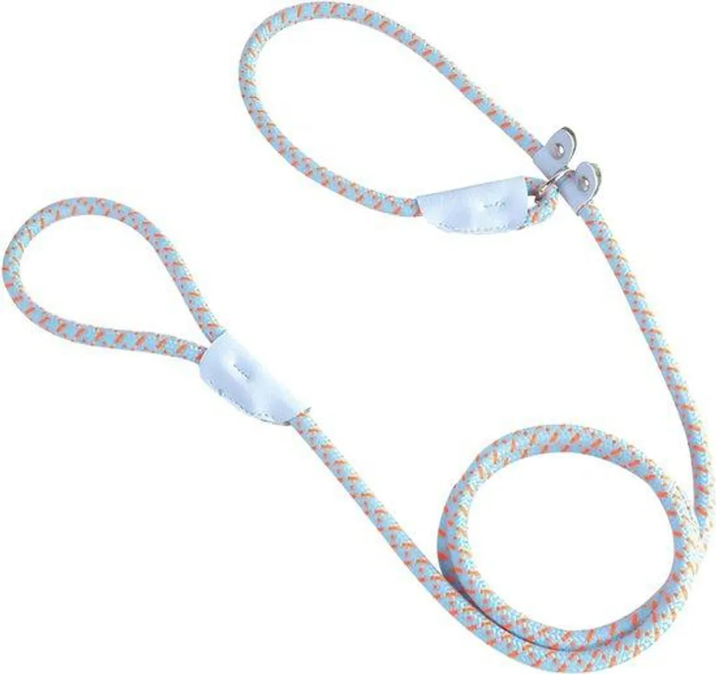 Laisse 18m anti-nœud et anti-traction pour petit chien sans douleur